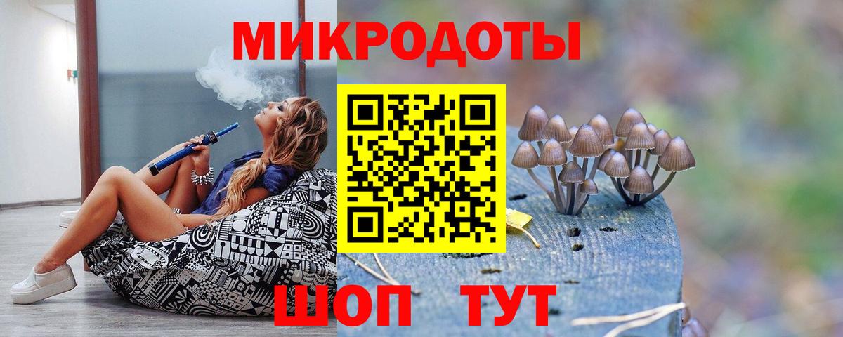 Псилоцибиновые грибы Cubensis Вичуга