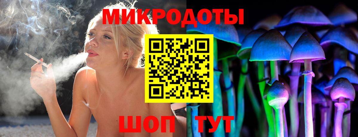 Вичуга  где продают наркотики  Вход с VPN  Галлюциногенные грибы Psilocybe 
